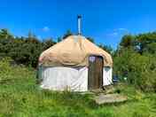 Baby Bear yurt