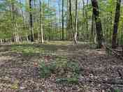 Site primitive campsite. Near former historic site 2 story Inn short walk to cave.
