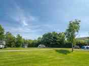 Grassy pitches