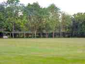 The meadow