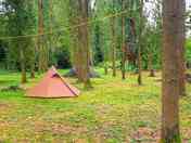 Places to pitch amid trees