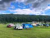 Camp site, woodland behind