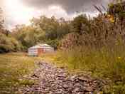 The yurt is private and peaceful, tucked away in its own meadow