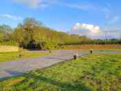 View of the site