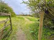 Grass pitches