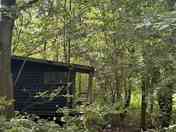 Cabin in the woods