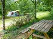 Picnic table under the trees