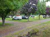 Grass pitches