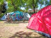 Large pitch for large tents