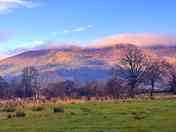 View from the pitches