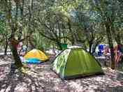 Tent pitch