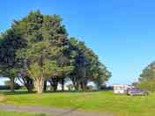 Tree-shaded pitches