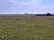 View looking south towards Stackpole