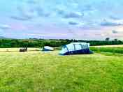 Evening on site