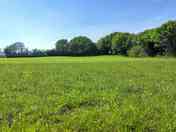 The field is sheltered by trees