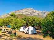 Tent pitches