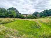 Grass pitch surrounded by trees