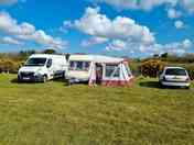 Grass pitches