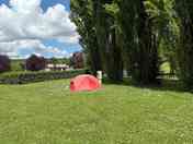 Pitch protected by mature trees