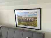 The sheep that graze on Skiddaw
