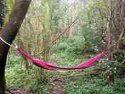 Plenty of places to explore and swing from