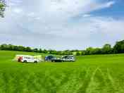 The meadow