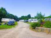 Standard grass electric pitches