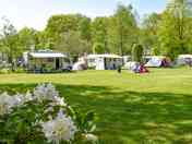 Pitches on site