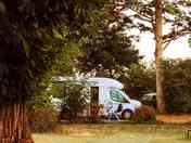 Grass pitches