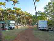 Pinewood pitches