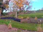 Hart pitch has two levels, both laid to grass, backed by the copse and wildflower meadow