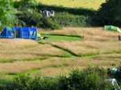 Meadow pitches