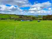 Visitor image of the field