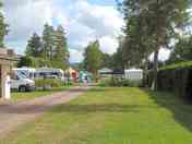 Grass pitches