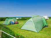 Grass pitch