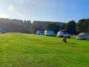 Campervans on site