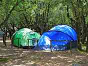 Spacious camping pitches (added by manager 06 Aug 2015)