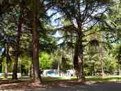 Pitches shaded by trees