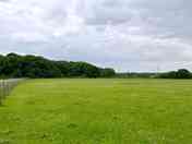Pitches overlooking grazing fields and woodland