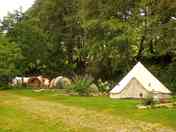 Pitches with space for large tents
