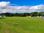 Electric pitch field