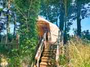 Bell tent among the trees