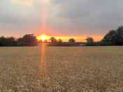 Rural views