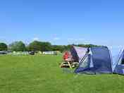 Lots of space for tents large and small