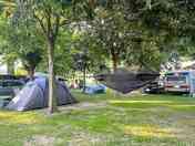 Pitches under shady trees