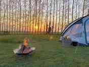 Sunset through the trees.