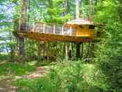 Chimpanzés treehouse