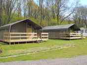 Safari tents