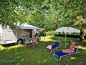 Grass pitches