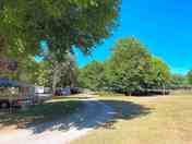 Grassy pitches